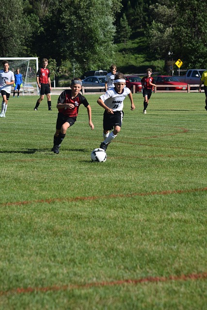 这个独特的 这个独特的