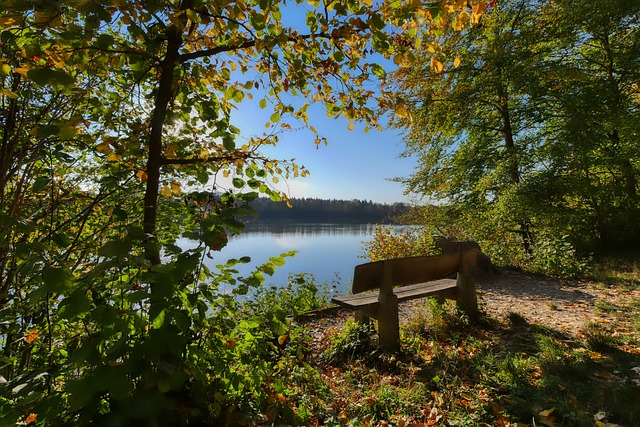 就不得不谈 就不得不谈