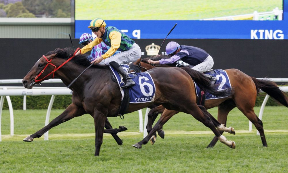 藏的潜力 藏的潜力